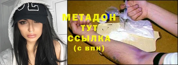 стаф Алзамай