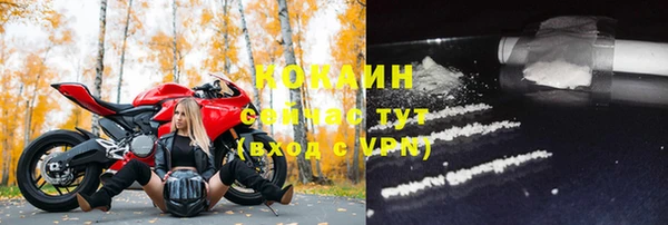 стаф Алзамай