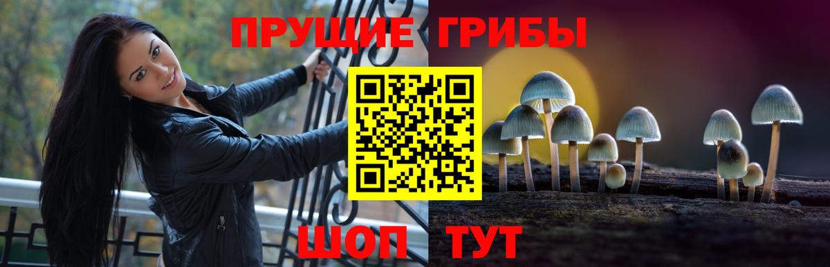 Большой Камень  Псилоцибиновые грибы Magic Shrooms  Вход с VPN 